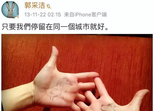 向郭采洁求婚被拒,转身与阿梅五年生三胎,被嘲两人在家不做别的