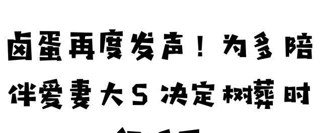 台媒参战夺产升级！大S全部财产留在徐家，具俊晔再度发声