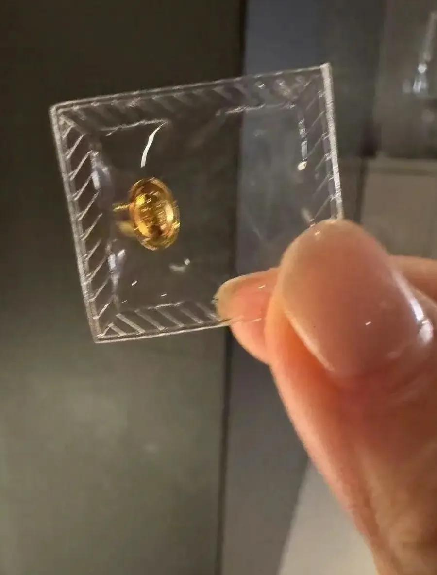 伊能静58岁生日晒全家福，儿子恩利一同庆祝，女儿米粒送了小金豆