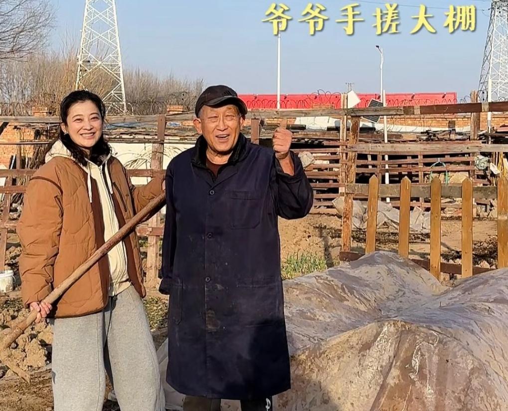 梅婷去菜园子帮公公干活!翻地种小白菜不会用铁锹,被宠成亲闺女
