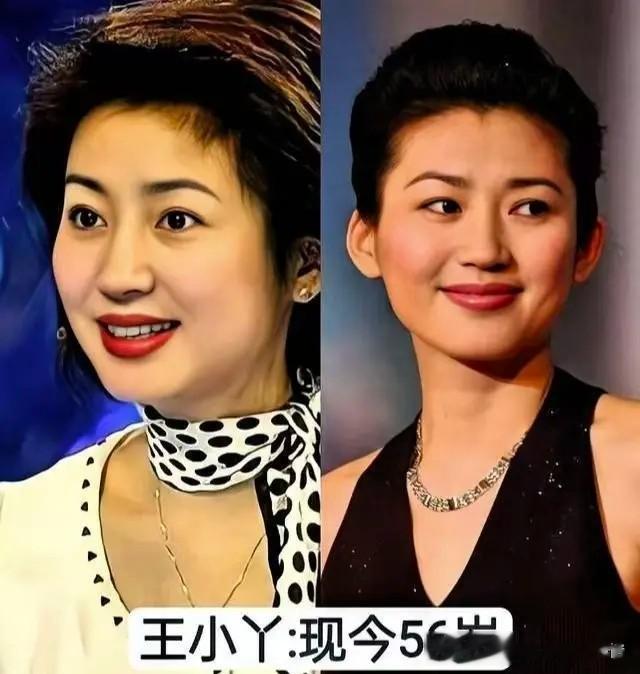 9位“央视美女主持人”今昔颜值对比