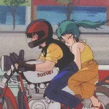胡胡赏枫