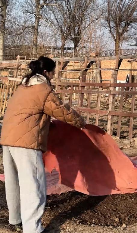 因梅婷选择离婚，68岁孤身一人的叶大鹰，如今过上了另一种生活