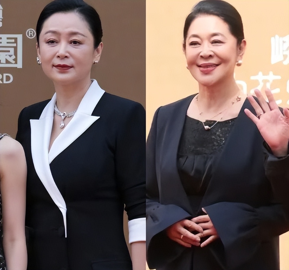 与陈红“斗”了6年,倪萍也没想到,这口恶气让陈凯歌父子给出了