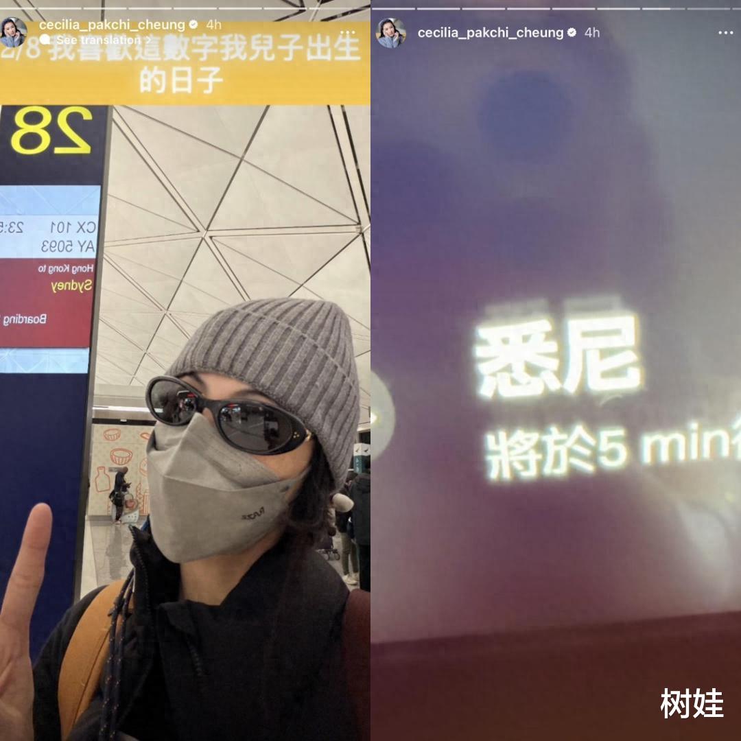 张柏芝在澳洲为儿子布置新家，亲自动手组装家私，18岁谢振轩帮忙