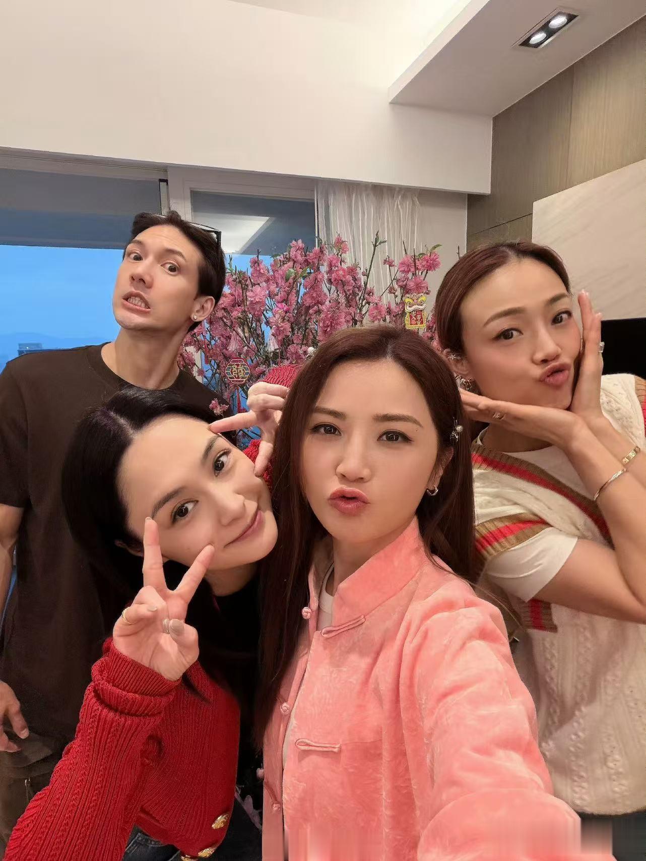 阿娇年初二晒聚会照!闺蜜四人组到齐,被霍汶希女儿近照惊艳到了