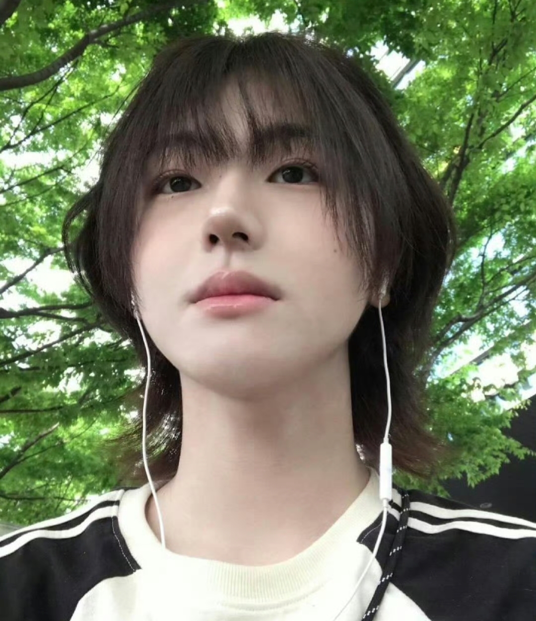 “清明节快乐！My Day ”韩国新人偶像李清明的言论引起全网热议！