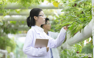 喝了一杯咖啡后师兄骂我装货，还想毁我前途，我反手让他身败名裂