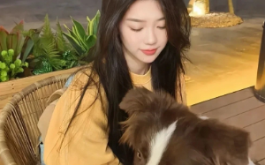 年收入百万后我让妻子辞职当全职家庭主妇，直到我资金链断裂，妻子突然有话说