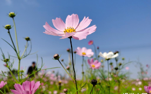 癌症切除手术，老公却和闺蜜庆祝