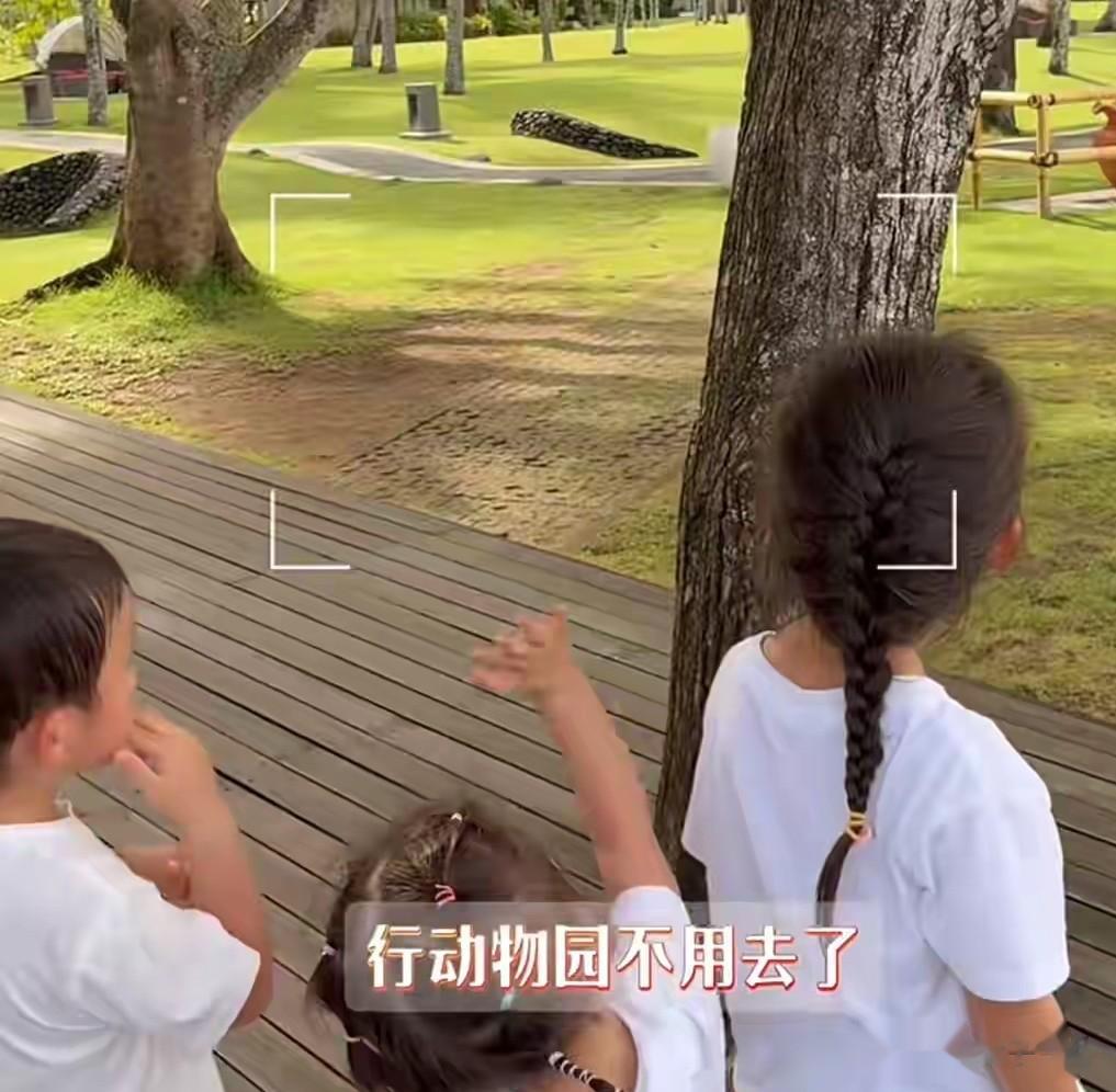 苗苗终于晒三胎，母女四个坐一起，小女儿露脸颜值比哥姐都高