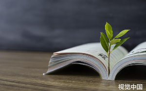 教委主任动了县委书记老婆的奶酪，3轮PK，官大靠山硬的赢了