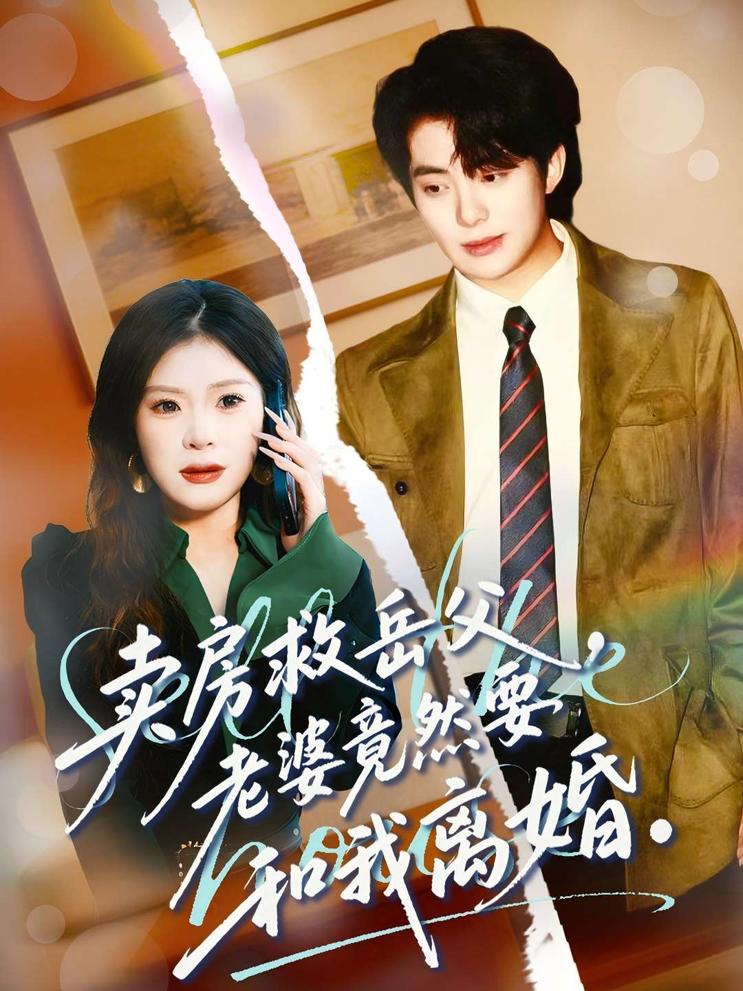 卖房救岳父，老婆竟然要和我离婚海报