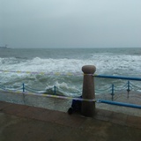 上海男篮观察室