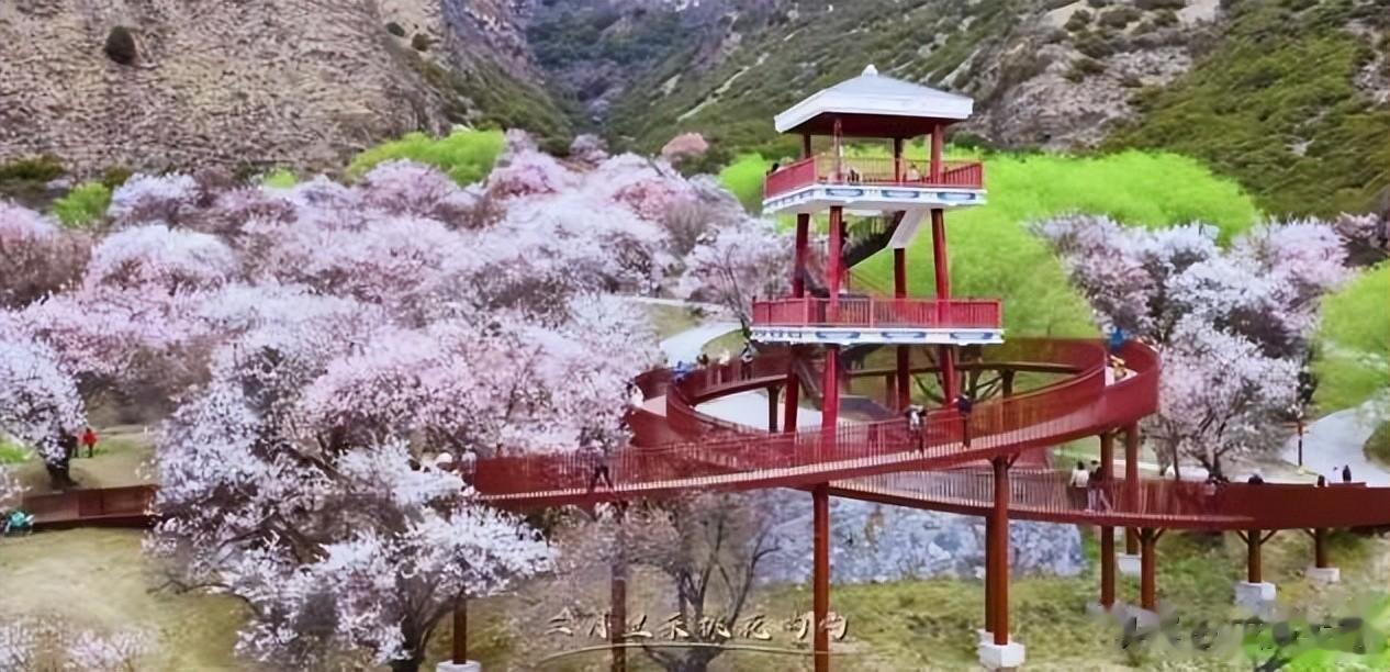 成名抛弃“糟糠之妻”，娶小十岁北大才女，如今终于付出“代价”