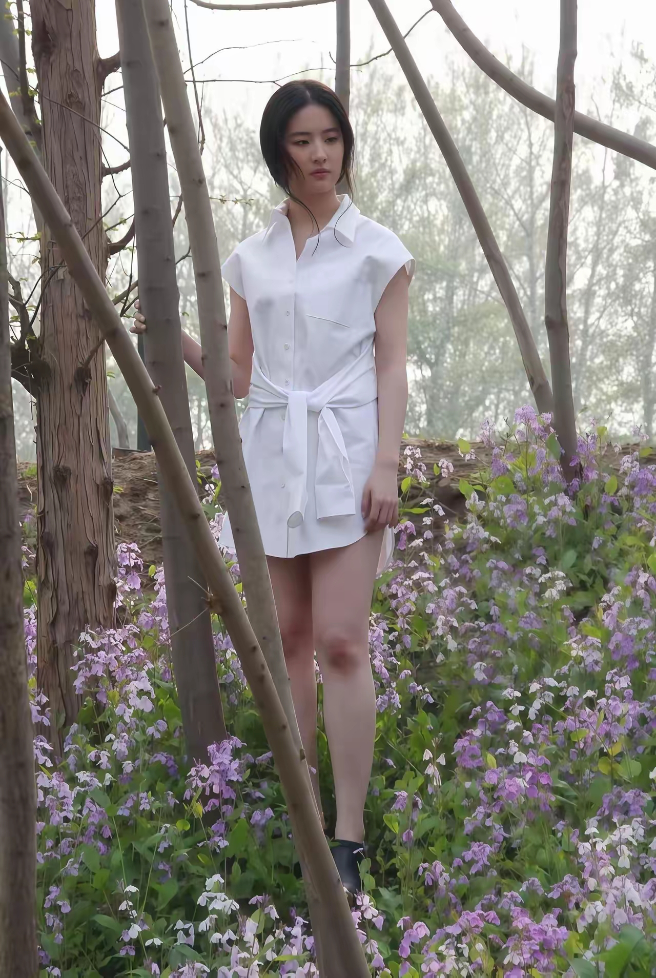 菲你不可。刘亦菲 绿野仙踪