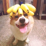中超争霸