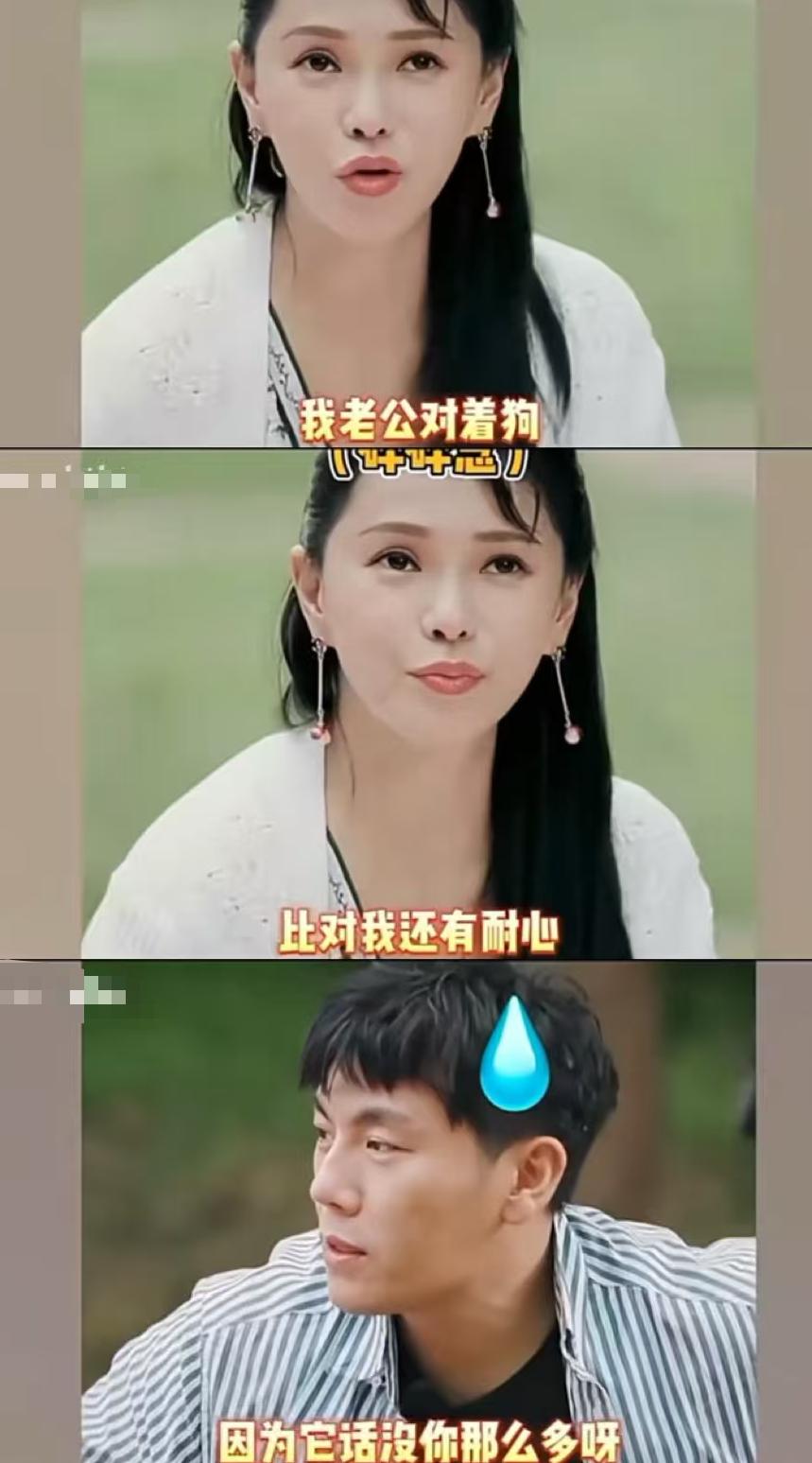 58岁伊能静曝完“婚姻问题”，恶心一幕发生了，48岁秦昊太受冤枉