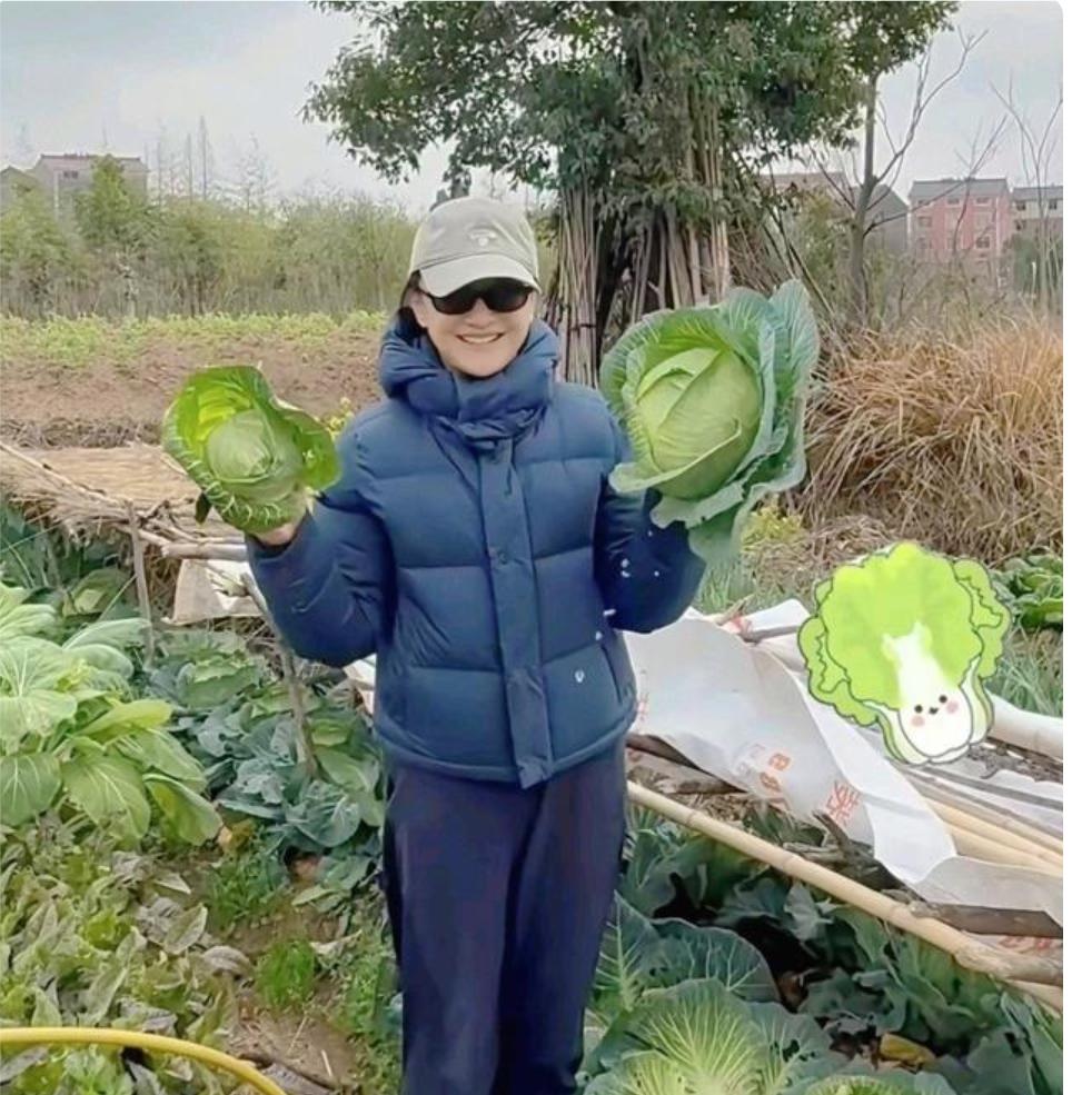 52岁周迅穿名牌在浙江老家探亲时体验农村生活，摘蔬菜，很开心。