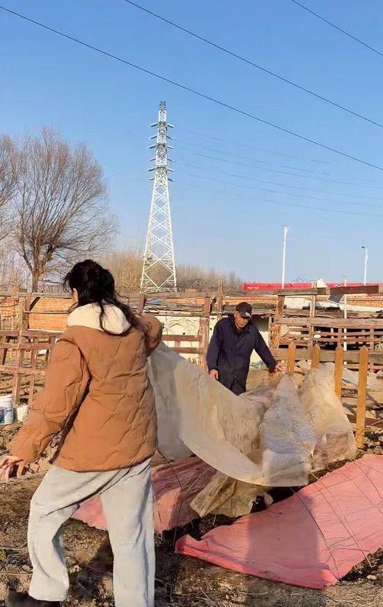 梅婷去菜园子帮公公干活!翻地种小白菜不会用铁锹,被宠成亲闺女