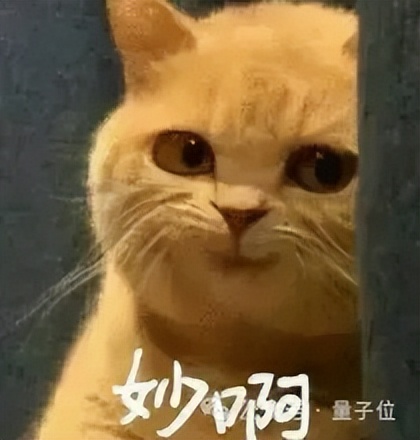 融資34億！谷歌前TPU員工創業新型芯片，卡帕西也投了