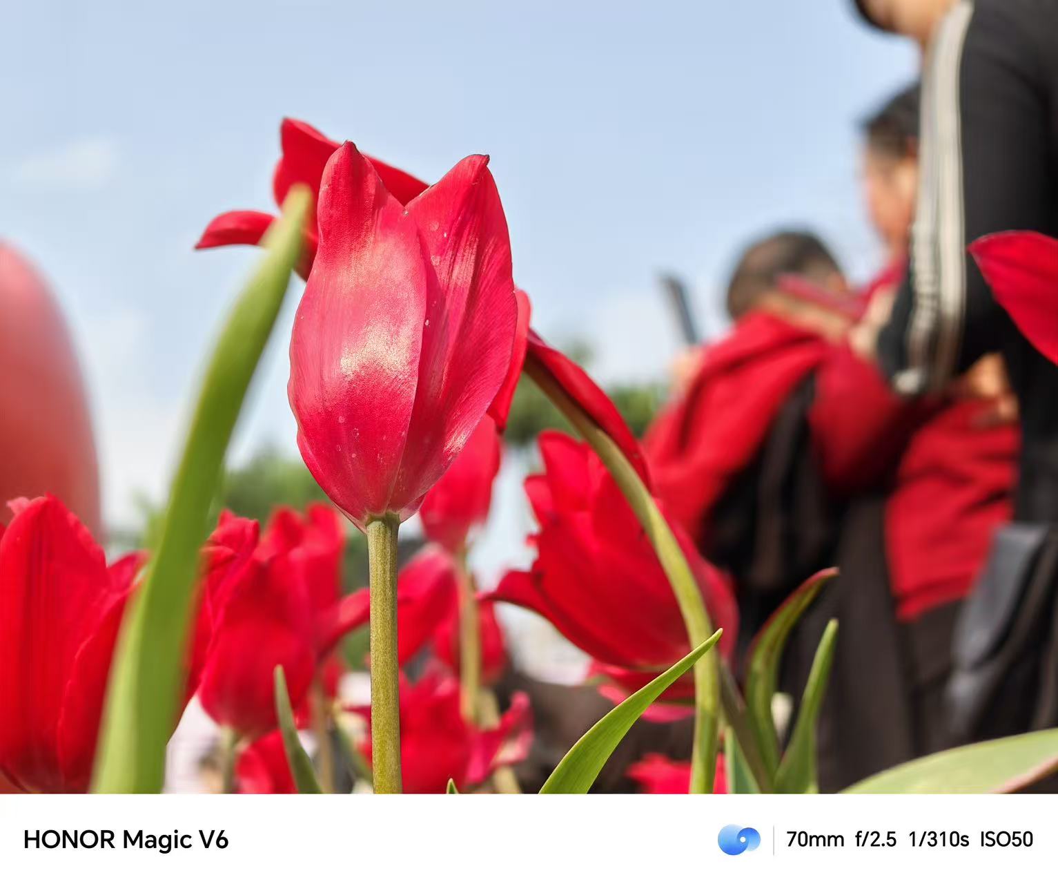榮耀Magic V6 深度體驗報告：不死磕折痕，屏幕這次“亮了”