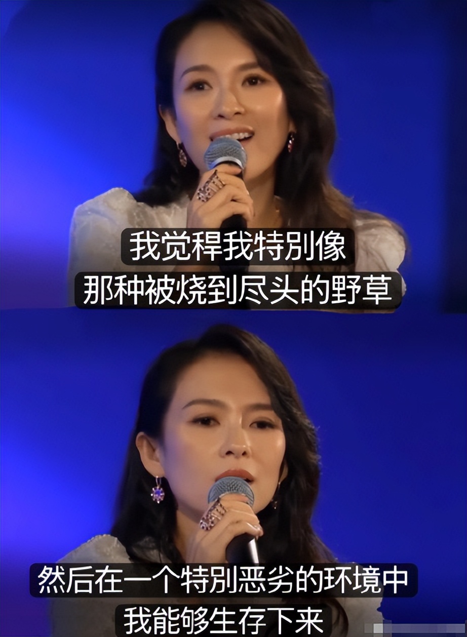 央媒亲自官宣章子怡新身份，释放三个强烈信号，汪峰的话真没说错