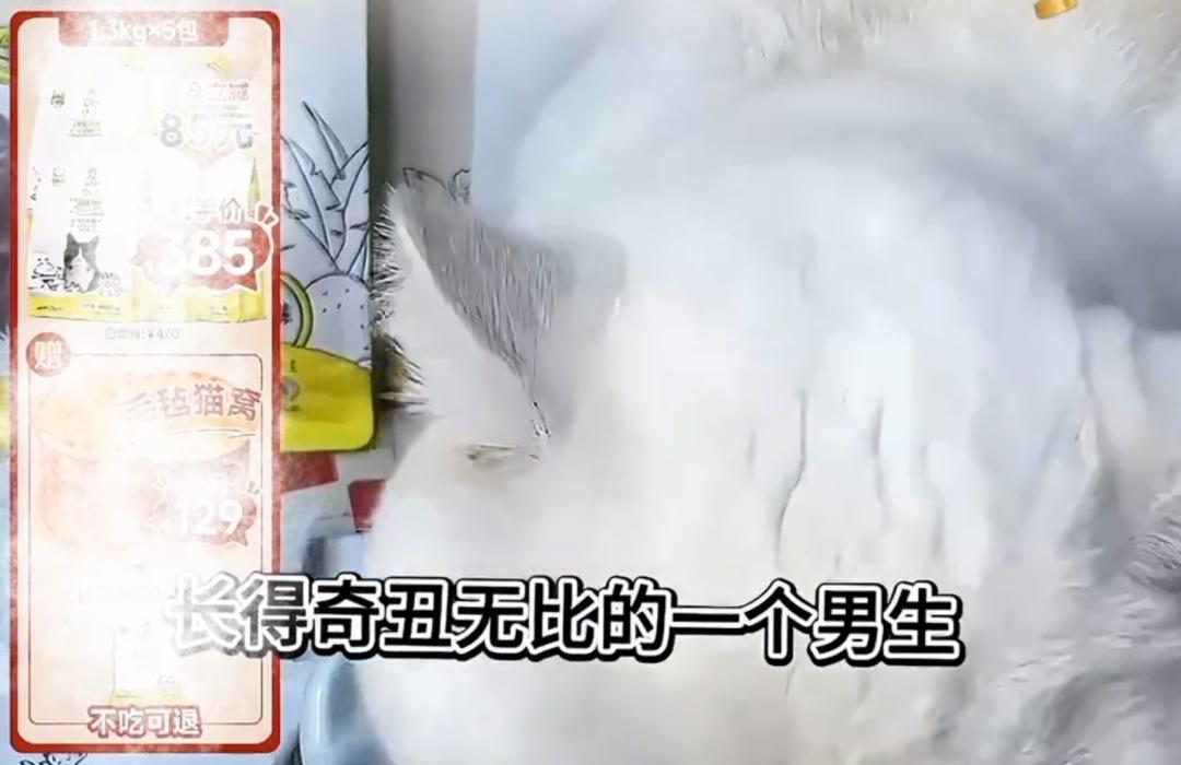 男演员宣布终止合作！知名品牌翻车，创始人致歉：严重失责，已开除涉事主播