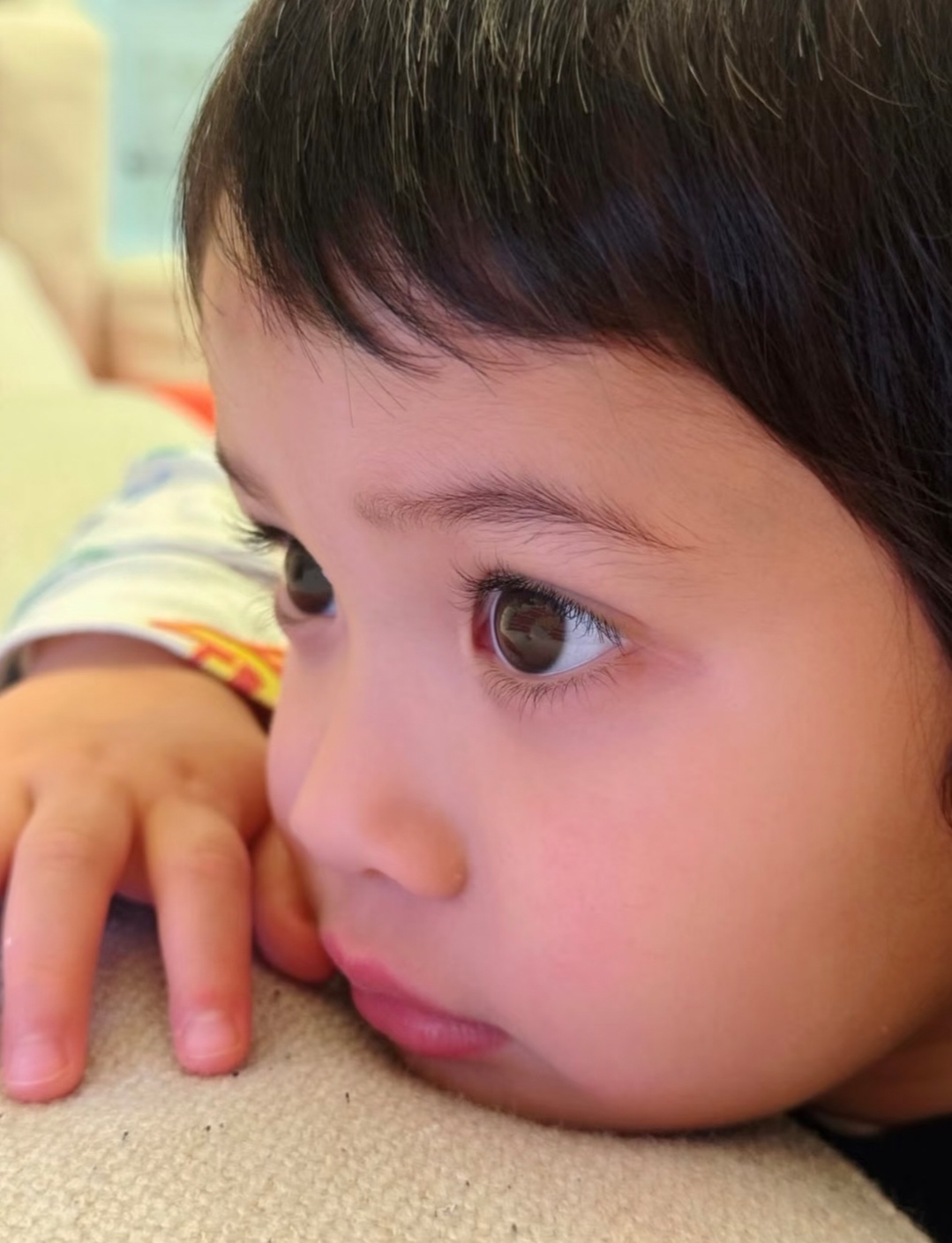 陈凯琳晒与三个儿子合影，美得像芭比娃娃，儿子们比爸爸郑嘉颖帅