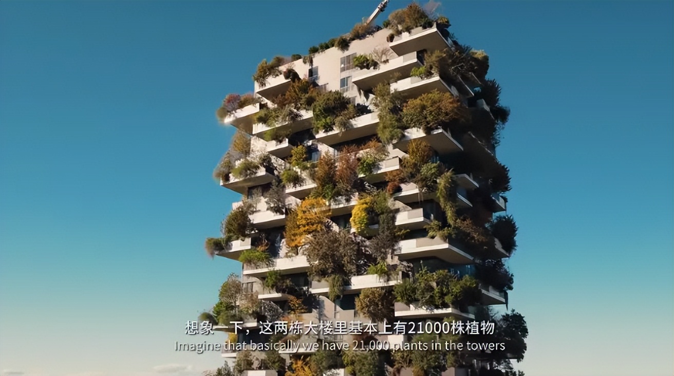 他是内娱最清醒的顶流,没有之一