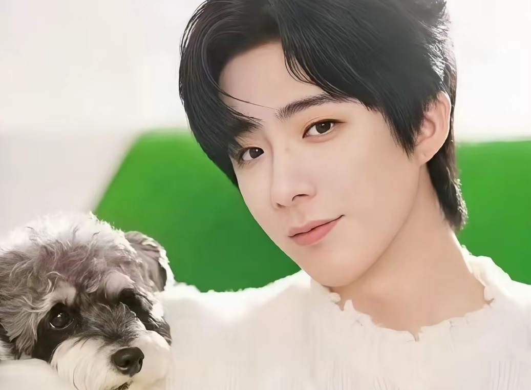 偷鸡不成蚀把米？刘宇宁自曝接不到工作，背后的真相太现实