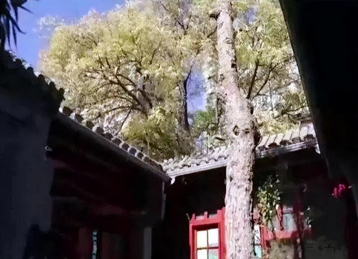 演员身份仅遮羞布？李晨郑恺暗投《逐玉》，高瀚宇宋茜老板是顶流