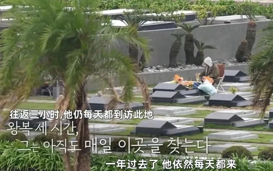 S家被摆了一道！具俊晔靠S家避债翻红成赢家，大S子女背2.5亿巨债