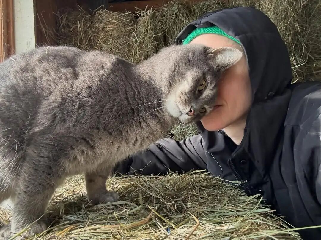 暂停医美一年后，40岁好莱坞当家花旦，狠狠打了内娱女星的脸
