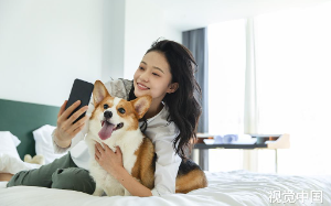 妻子为狗放弃救儿子，还反怪我不负责，离婚3天后她无家可归