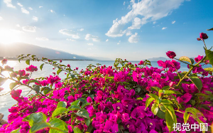 系统判定：她在撒谎