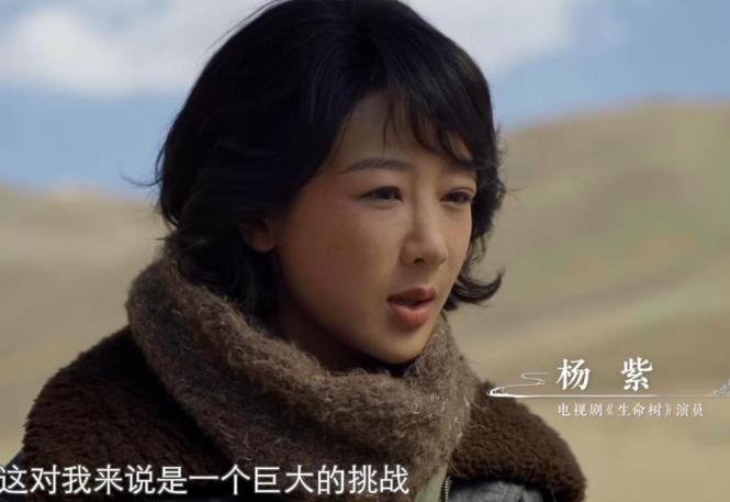 没想到，叱咤娱乐圈的33岁顶流杨紫，如今竟遭遇了“后院起火”