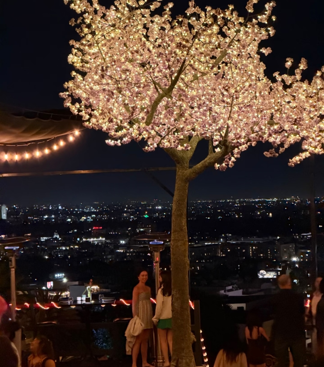 《梅花烙》兰馨公主扮演者鲁文在美国为女儿庆生，一家都是高颜值