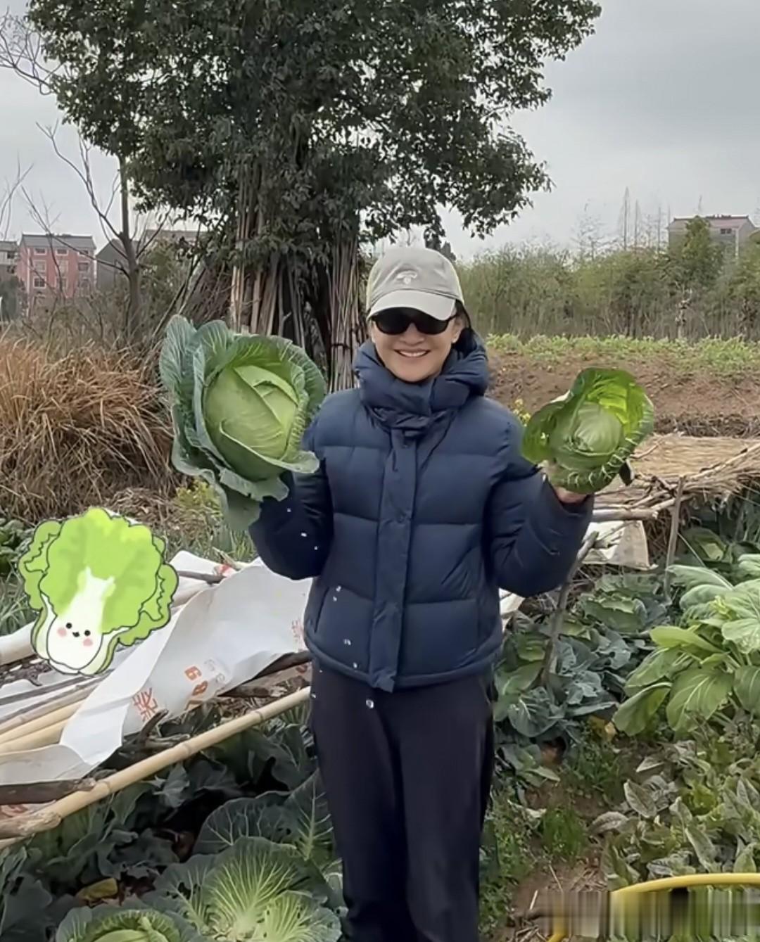 周迅回老家浙江衢州，去同学家吃火锅，蹲地里摘菜干活很麻利
