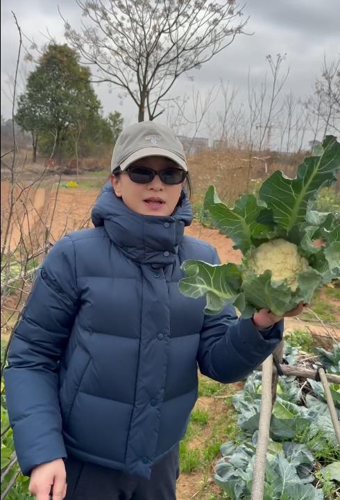 51岁周迅过年回老家,下地摘菜把裤脚塞袜子里,动作熟练毫无架子