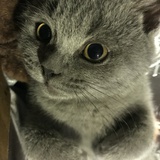 含含闲聊趣事