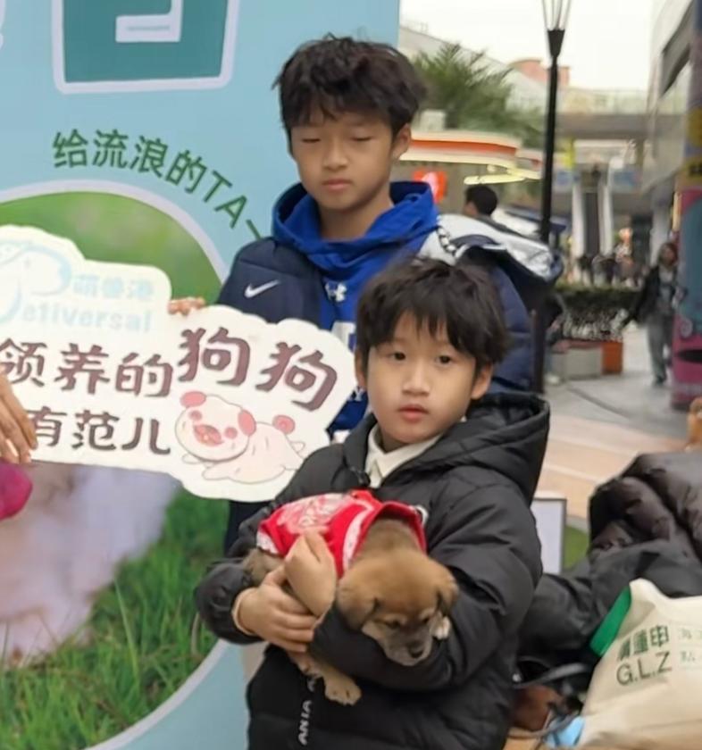 冉莹颖住豪宅哭穷省水电费!转头领养流浪狗,大方买新窝不看价格