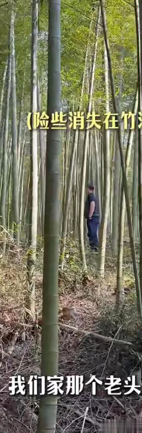 周一围夫妇带仨孩子上山挖笋，45岁朱丹身体真好，才3月穿短裤了