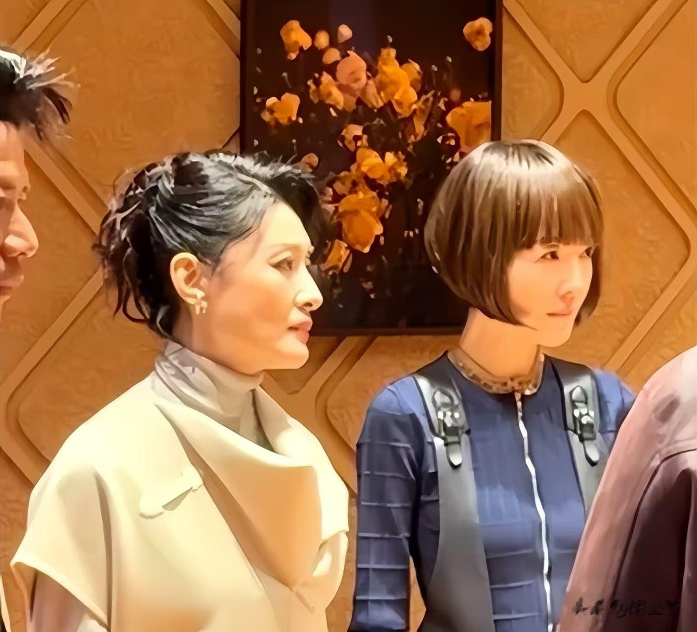 55岁鲁豫与周涛同框，一个脸紧致一个面颊凹陷，骨相皮相区别明显