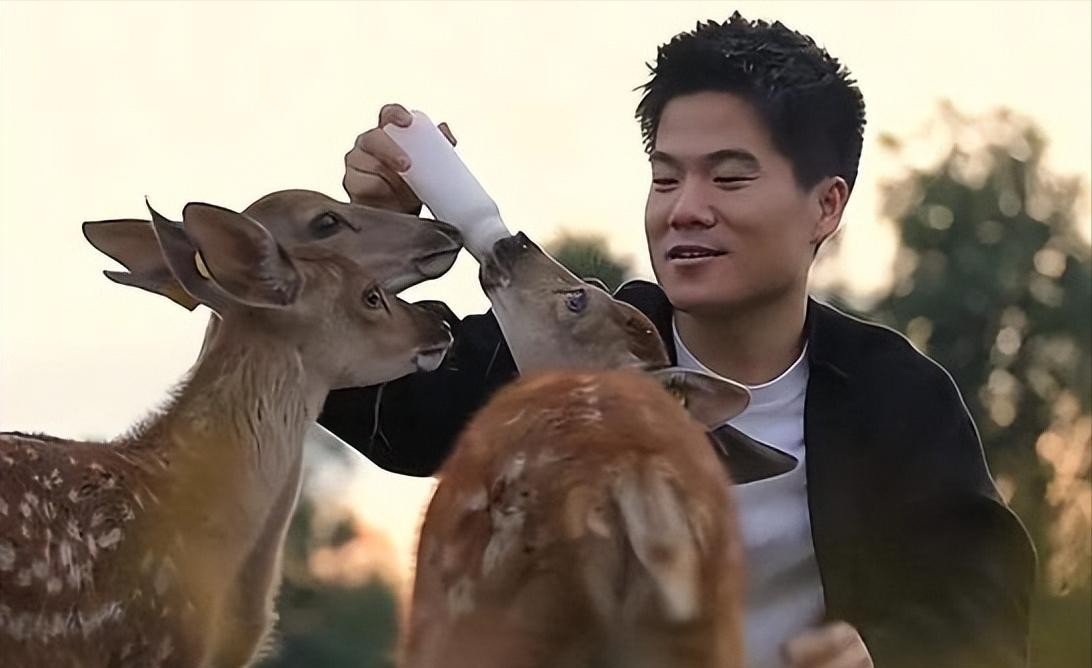 直播翻车了，人设崩了，信任没了。