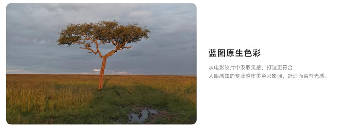 vivo專訪：更清晰的定位，值得更高期待