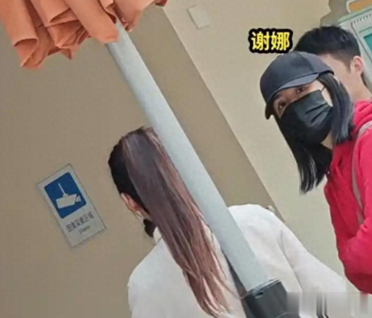 谢娜开唱最贵票1180元！带3个女儿外出6个保姆随行，小女儿像张杰