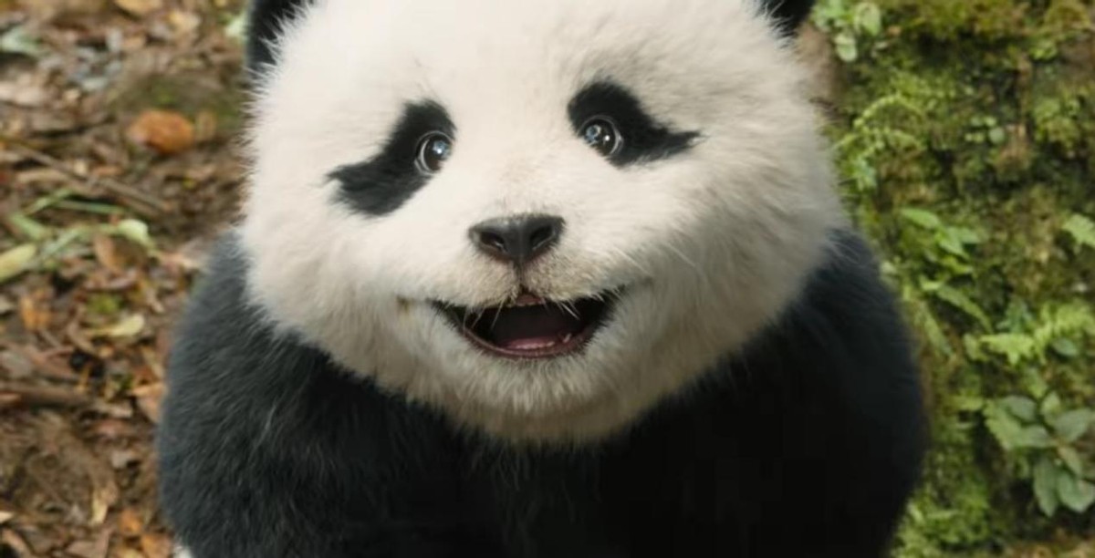 春节档真正赢家，不砸宣发、不给排片费，《熊出没》片方躺着数钱