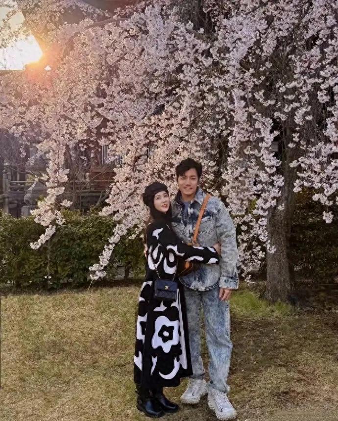 陈乔恩和老公艾伦在日本长野看樱花庆祝4周年结婚纪念日。