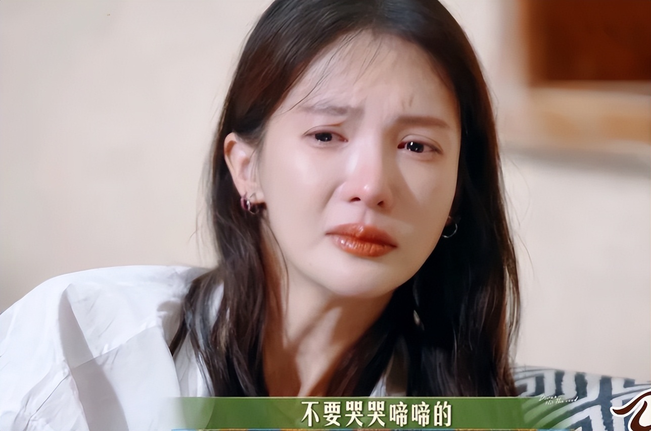 突发!金晨承认肇事逃逸,晒满脸是血照片,知情人曝她刚做了鼻子